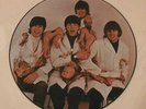 The Beatles Casualties Capitol PICTURE DISC Rarities
