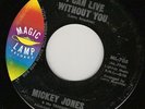 Mickey Jones Karen Carpenters 45 MAGIC LAMP 1966