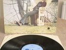 CHRISTINE PERFECT..same name LP on  Blue Horizon  1970