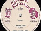 DANGER ZONE ERROL HOLT AFRICAN MUSEUM ORIG 12