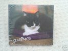 Guillemots I Saw Such Things In My Sleep EP.  RARE
