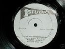Love and Understanding : Sugar Minott (12
