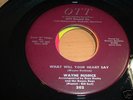 Old Country 45 Wayne Busbice Buzz Busby Ott 202 M-