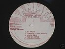 Rare PRINCE JAMMYS IN LION DUB STYLE ROOTS REGGAE LP
