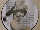 Blondie PICTURE DISC LP w/NUDE PHOTO New Wave Punk