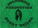 BUNNY WAILER RISE AND SHINE