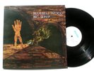 BLUEBELL WOOD big sleep LP on PEGASUS UK prog psych NM