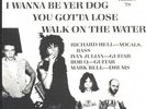 richard hell & voidoids PICTURE COVER  punk