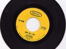 The  Remains Why Do I Cry  -bw- My Babe Epic  Garage 45