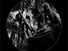 ARCKANUM - KAMPEN DOUBLE PICTURE LP.ORIGINAL