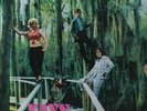 YAYS & NAYS ... FOLK , FOLK-ROCK LP