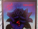 SIGNED PHIL LYNOTT THIN LIZZY BLACK ROSE LP - STUNNING
