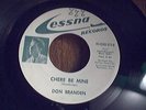 DON BRANDON  RARE OBSCURE DOO/WOP  45RPM
