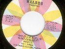 FUNK   Wallace Brothers on Walbro - What-cha feel is...