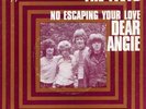 The IVEYS   Dear Angie ['69 French Apple 7