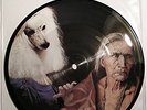 Nirvana / Jesus Lizard split single Picture Disc. Rare