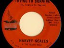 funk - HARVEY SCALES on MAGIC TOUCH (hear)