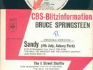 BRUCE SPRINGSTEEN 