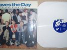 Saves the day, LP, Through Being Cool White out of 500
