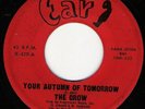 Northern Soul/Funk 45 THE CROW Your Autumn on Inner Ear