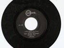 SUNSHINE/SOON YOULL BE GONE - THE BLUES BUSTERS [SKA] 7