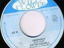 DEVON RUSSELL-CHANCES-WILDFLOWER-ROOTS-MINT REGGAE 45