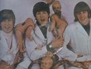 Beatles Picture Disc LP Casualties Butcher Cover Photo