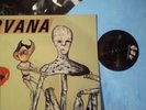NIRVANA INSECTICIDE BLUE MARBLE VINYL ORIGINAL LP RARE