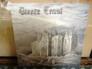 BREEZE LEAST SAME LP RARE PRIVATE JAPANESE METAL