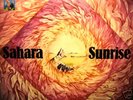SAHARA  Krautrock 1973 Vinyl - Album 