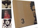 TRES RARE COFFRET 3 VINYLES BEN HARPER
