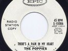 NORTHERN SOUL Poppies Pain In My Heart 45 1966