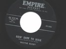 W. BUSBY - GOING' BACK TO DIXIE ROCKABILLY ORIGINAL 45