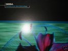 SEBA - PLANETARY FUNK ALERT - LOOKING GOOD