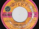 TERRY CALLIER Ordinary Joe CHICAGO NORTHERN SOUL 45