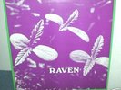 RAVEN  Back To Ohio Blues  LP   Rockadelic   new