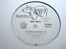Bee Gees You Should Be Dancing 12