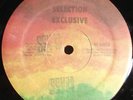LITTLE ROY IAN ROCK Sensimilla SELECTION EXCLUSIVE 12