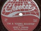 78-BLUES-LEON D. TARVER-CHECKER-I'M A YOUNG ROOSTER