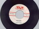 Rare 60's Teen Rocker/Group 45-Delatones-TNT Label