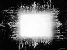 Tool AENIMA Rare SEALED  UNOPENED  VINYL RECORD  MINT