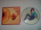 RARE KATE BUSH PICTURE DISC LP..THE KICK INSIDE..LOOK..