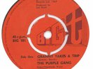 THE PURPLE GANG 1967 GRANNY TAKES A TRIP BIG T 101