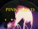 Pink Floyd LP Picture Disc Venetia Night Italy 41 MIN