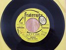 RARE 60's Garage Punk MOUSE & The TRAPS Promo 45 VG++