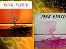 PINK FLOYD - Astronomy Domino -Turkish Edition LP.
