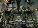 IRON MAIDEN Matter Life Death Signed AUTOGRAPHED Poster