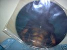 TOOL Aenima Pic. disc LP RARE