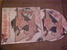 UNKLE-TIME HAS COME 2 X LP EP LTD ED MO WAX DJ SHADOW