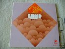 BUMP Rare US Psychedelic Orig.Lp 1970 Pioneer MINT-